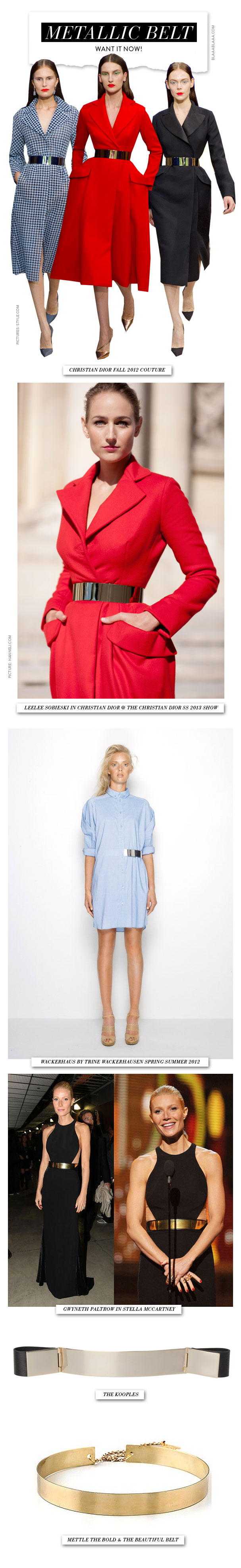 Want now: Metallic Belt