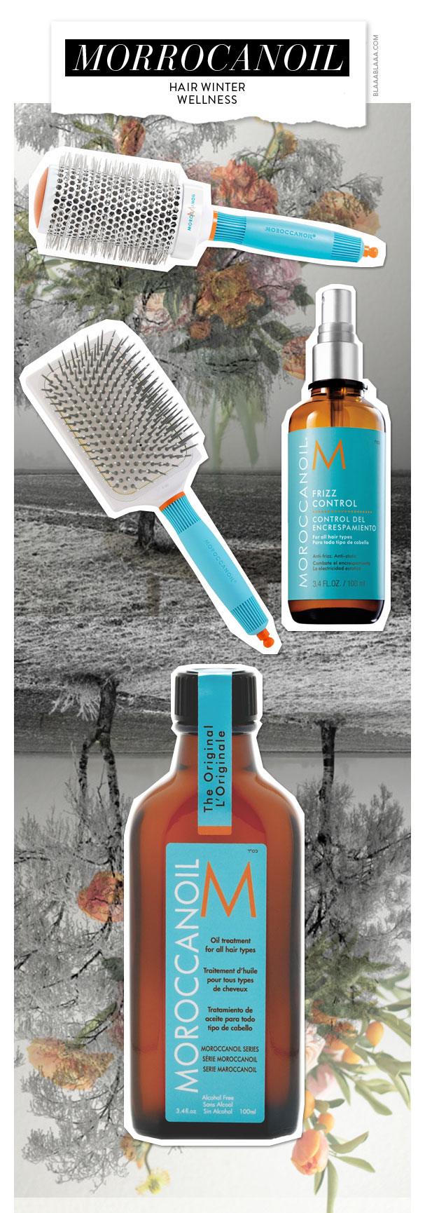 Morrocanoil gegen den Winterfilz