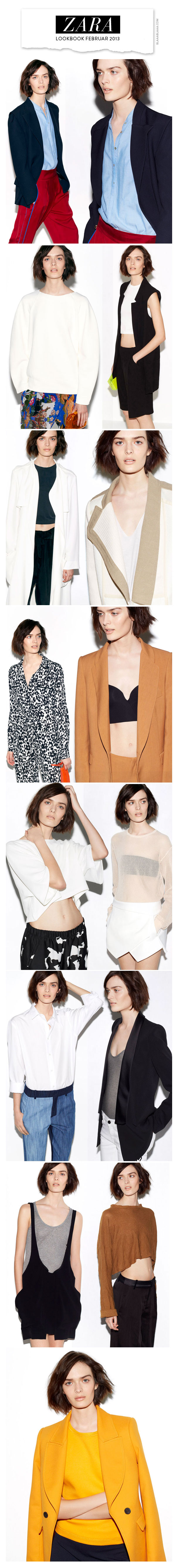 Zara Lookbook Woman Februar 2013