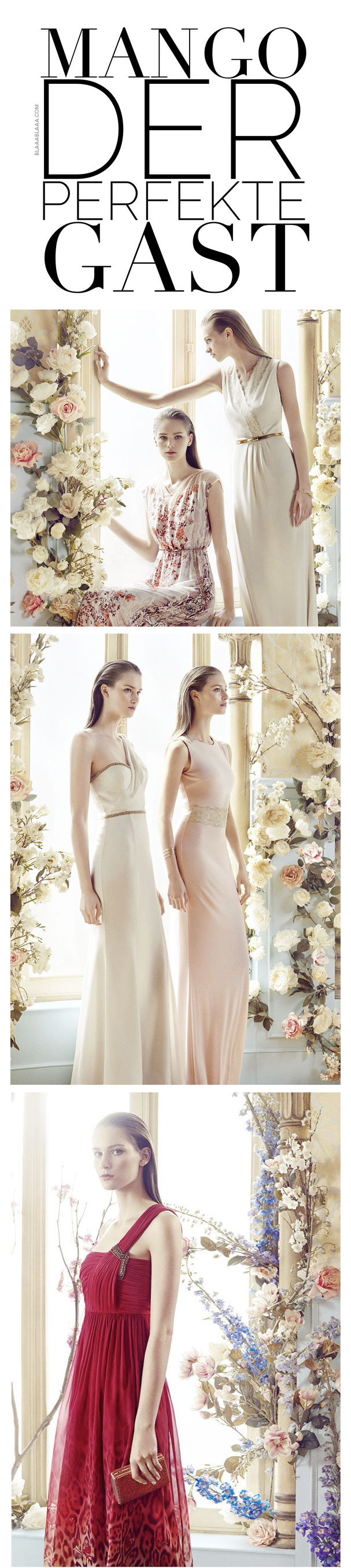 Mango – Der perfekte Gast