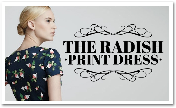 The Radish Print Dress from Carolina Herrera